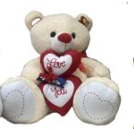 Immagine WhatsApp 2024-01-31 ore 12.17.49_1bea0436