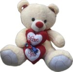 Immagine WhatsApp 2024-01-31 ore 12.17.49_1bea0436