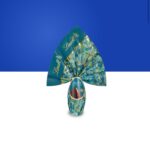 Immagine WhatsApp 2024-02-21 ore 11.31.15_9e93f473